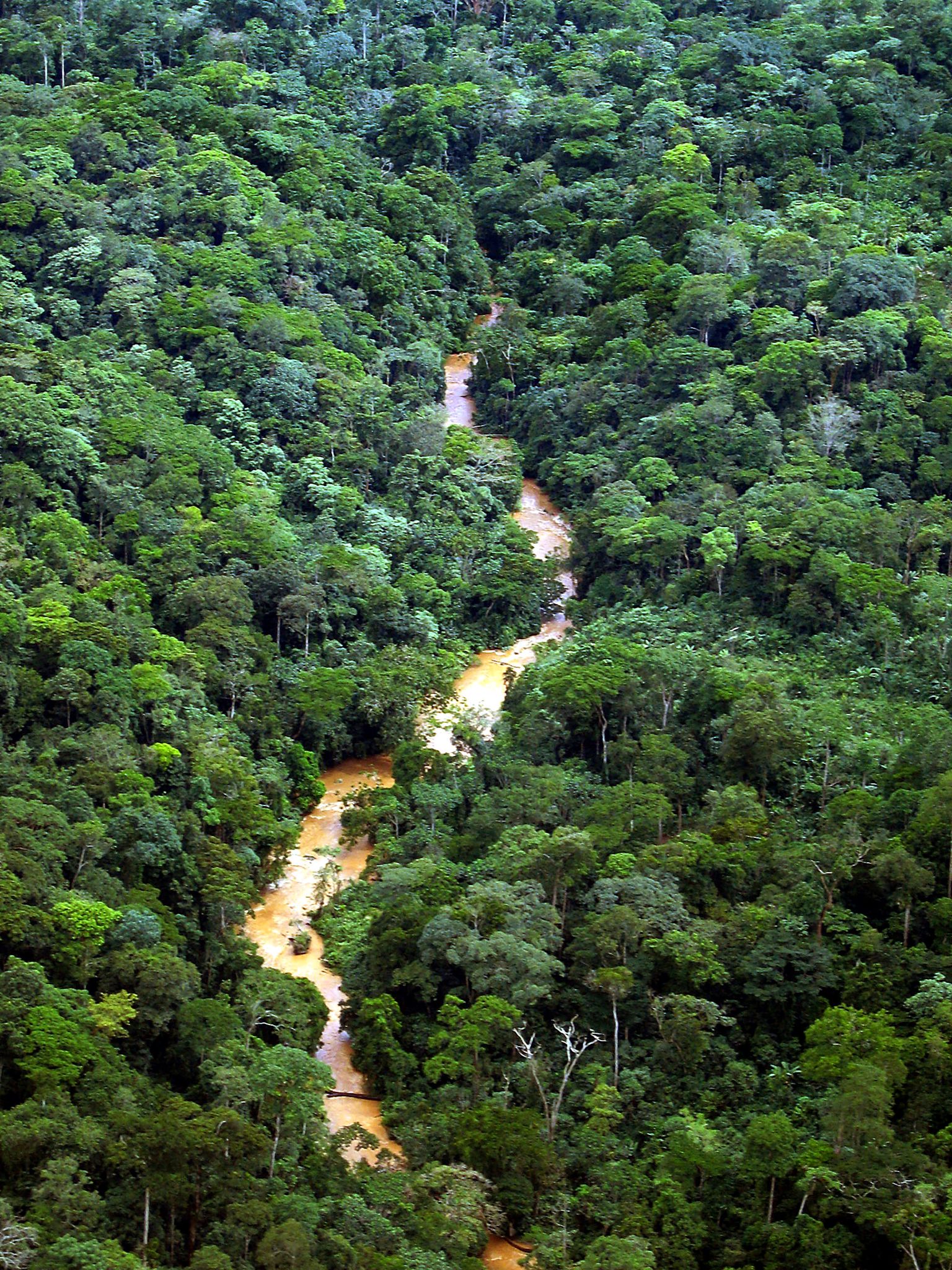Adaptation climatique : L'Allemagne accompagne 4 pays africains