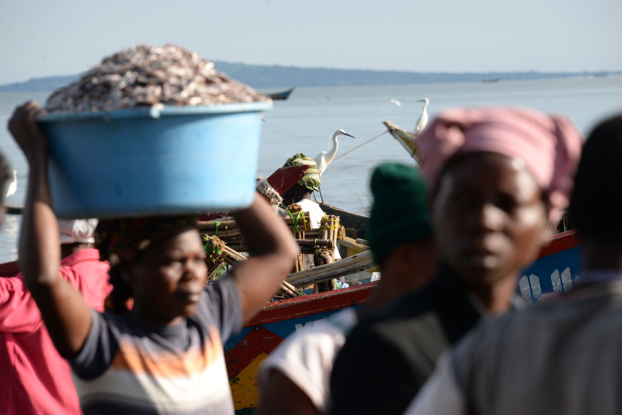 Un partenariat pour les femmes et les jeunes pêcheurs en Afrique