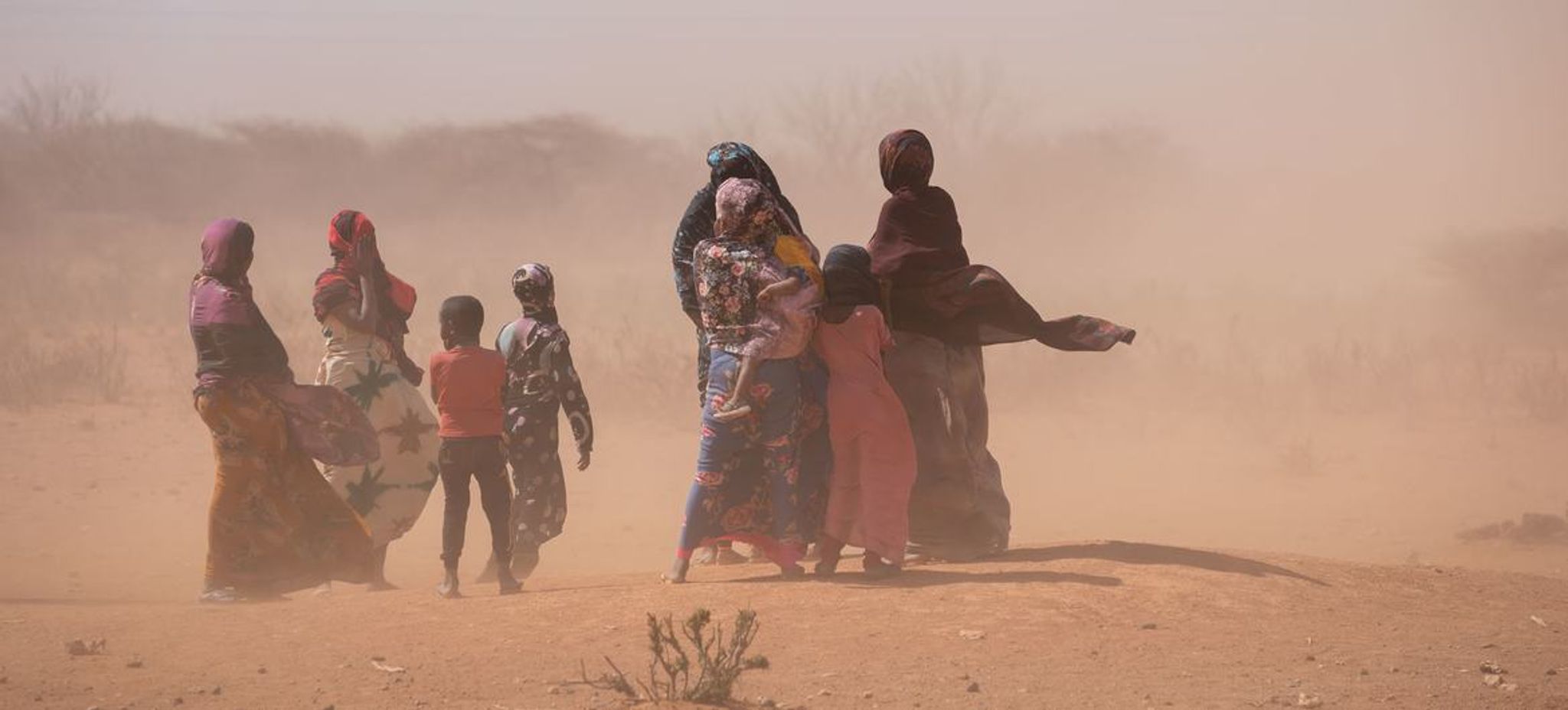 Afrique de l'Ouest : conférence sur la réduction des risques clim